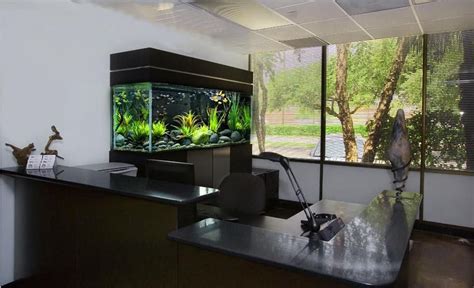 辦公室魚缸擺放位置 四象